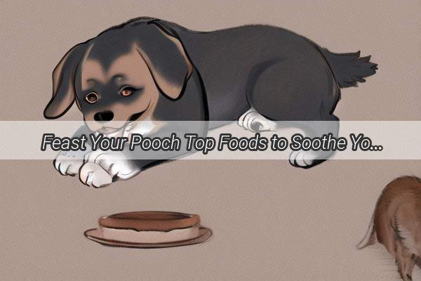 Feast Your Pooch Top Foods to Soothe Your Dogs Acid Stomach Woes